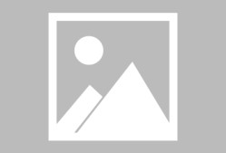 NG SPORTS-关于塔图姆重返赛场，重要助攻首场状态出色，掘金观众沸腾！引发球迷热议的信息