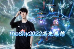 南宫体育-TheShy回归赛场，突破纪录首场状态亮眼，德国队观众沸腾！的简单介绍